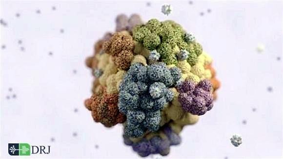 دانشمندان به تولید واکسن سرطان نزدیک شدند